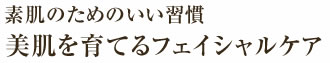 素肌の為のいい習慣　月2回のフェイシャルケア