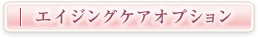 エイジングケアオプション