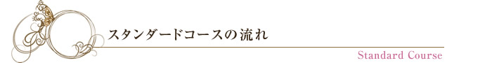 スタンダードコースの流れ